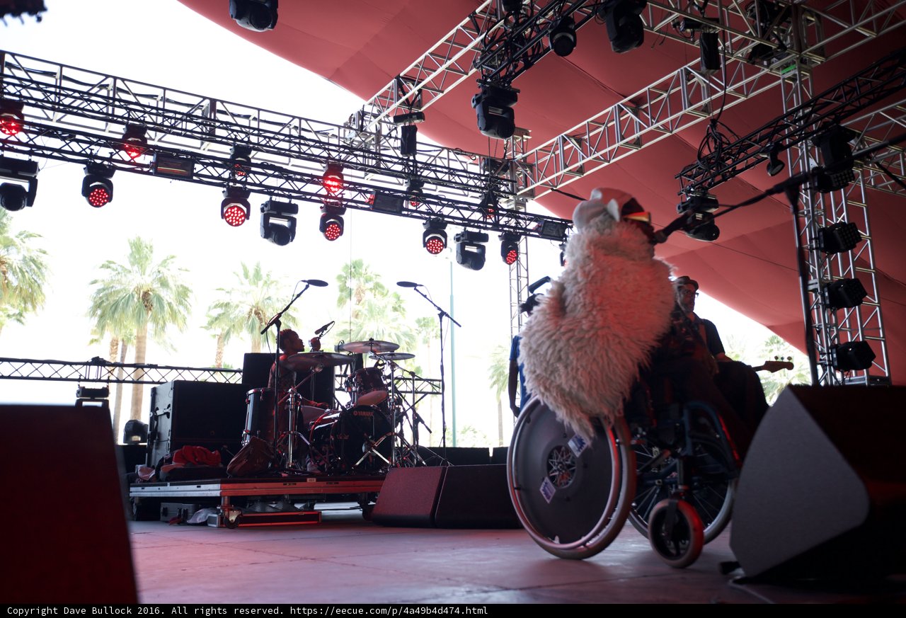 Man and Dog Perform on Stage