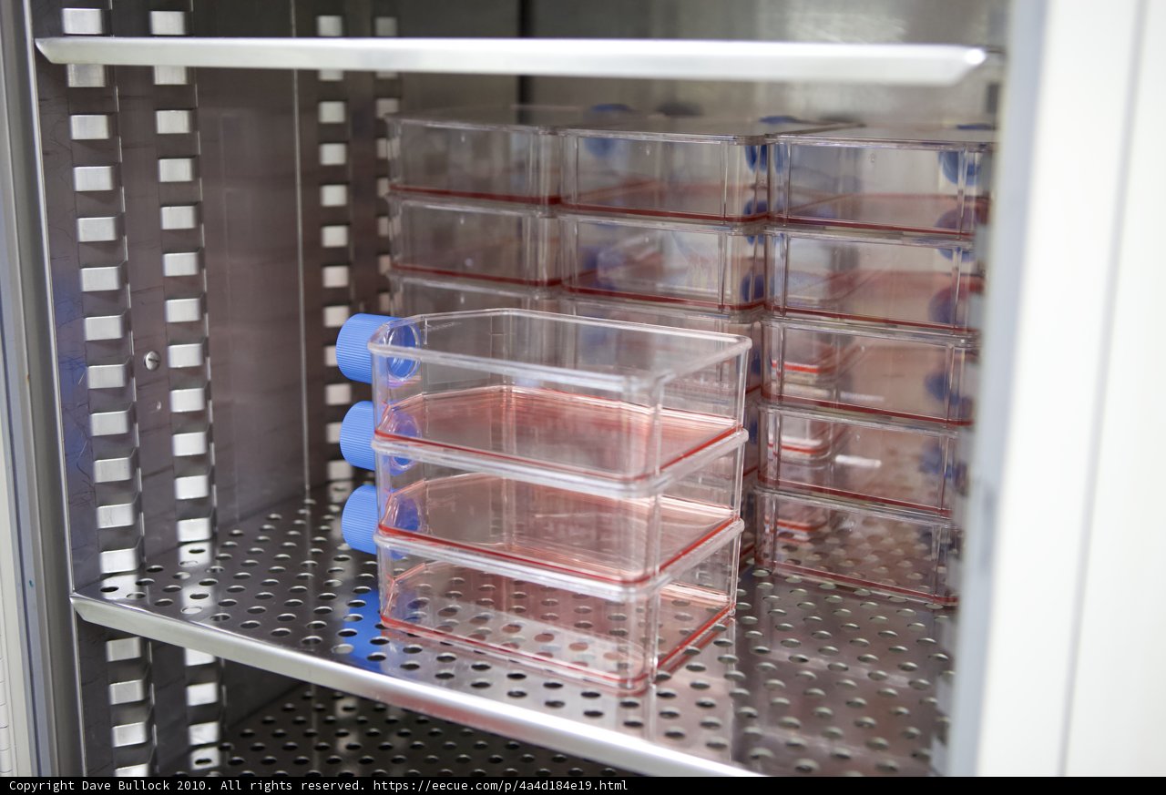 A Refrigerator Full of Plastic Containers