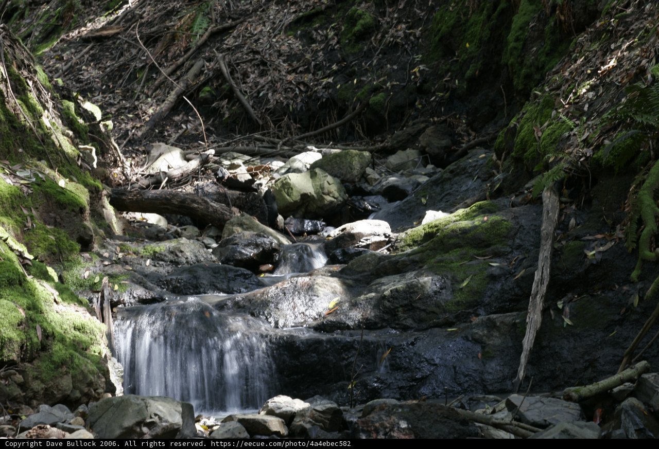 Serene Waterfall in a Lush Forest