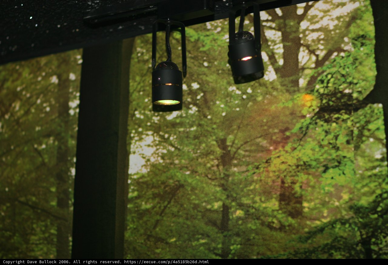Enchanted Forest Screensaver