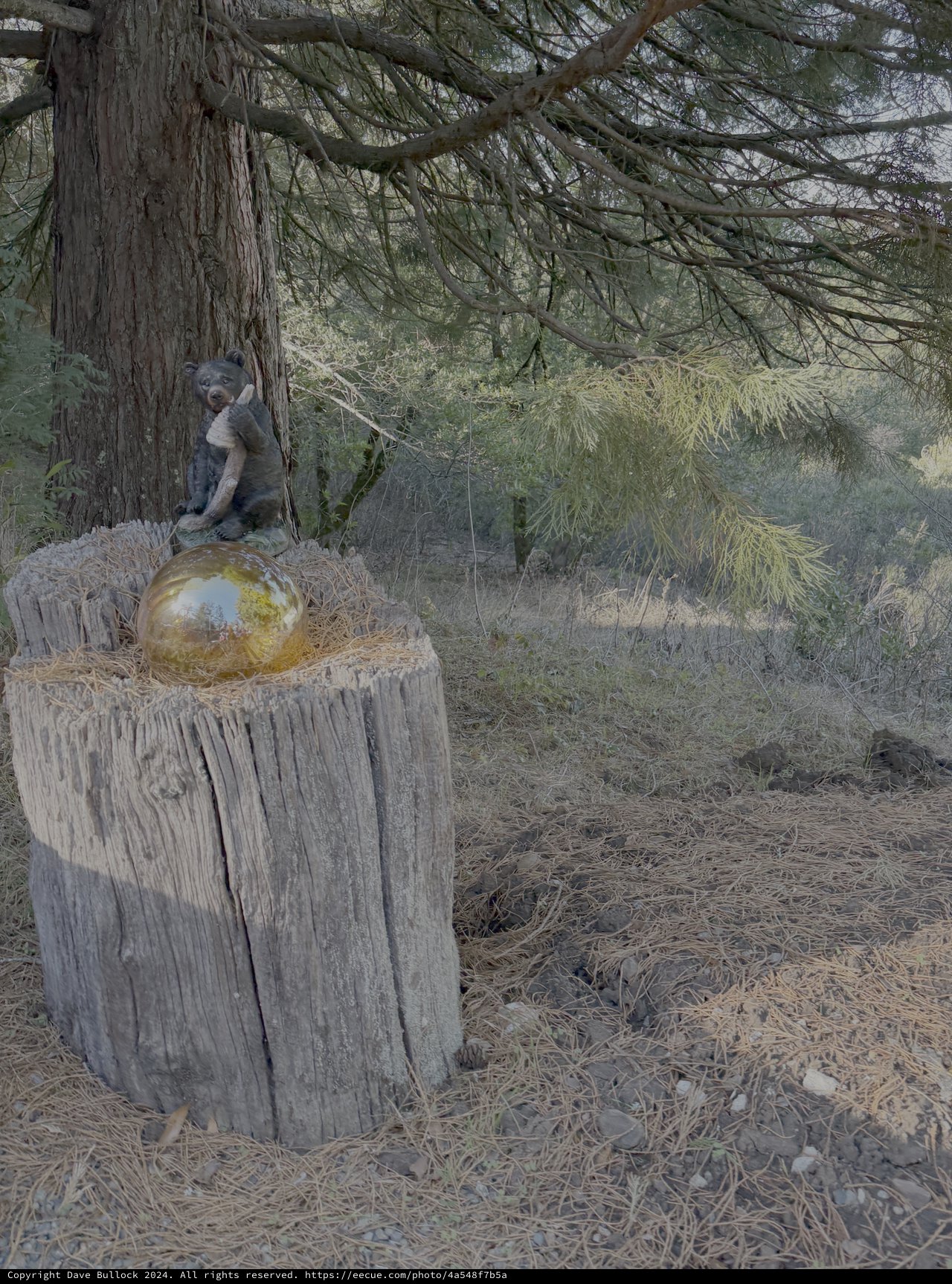 Mystical Forest Scene with Golden Orb