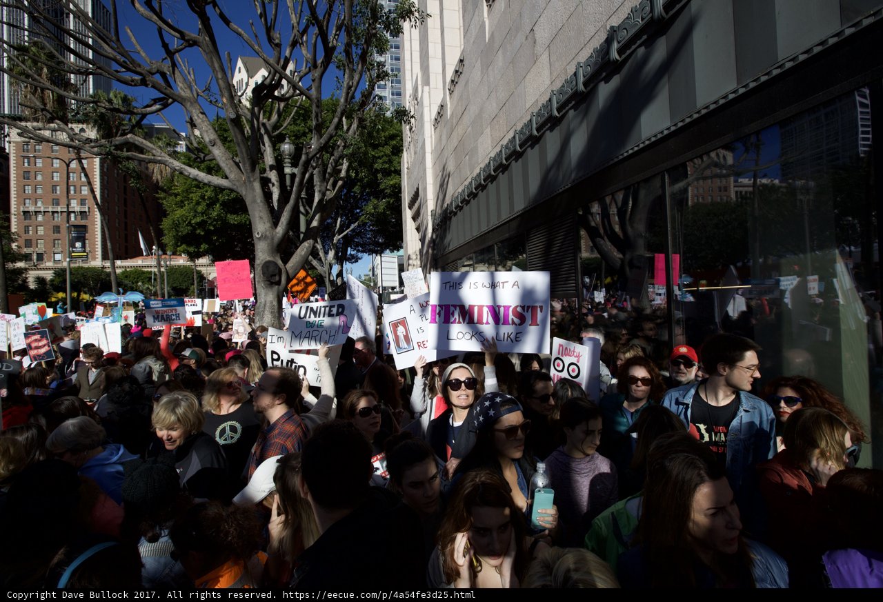 Women's March in the Metropolis