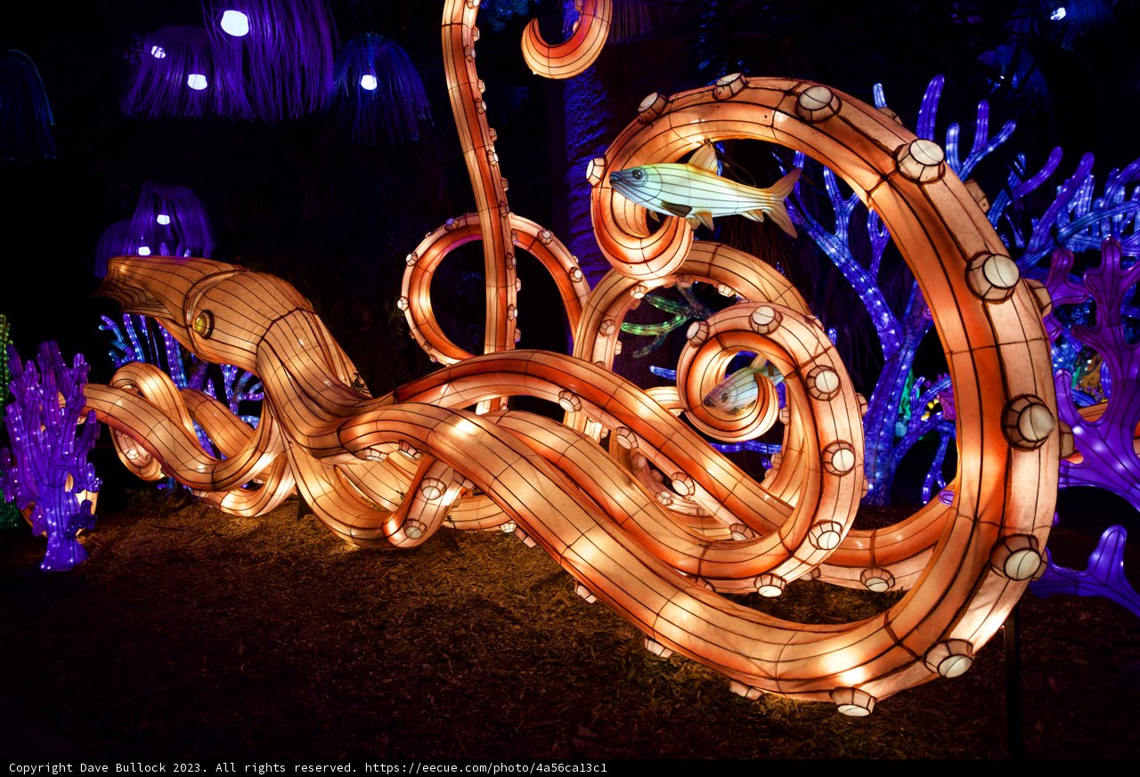 The Octopus Illumination at Glowfari, Oakland Zoo