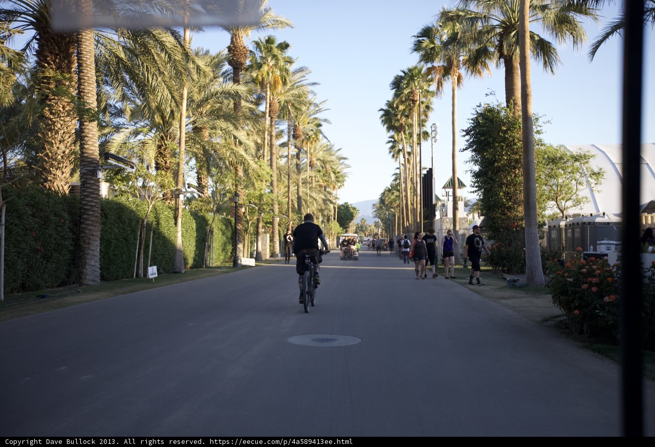 Cycling through a Palm Paradise