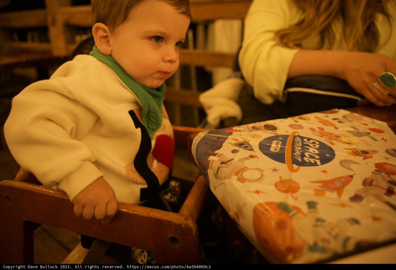 Playtime in Big Sur: Baby Wesley's Adventure