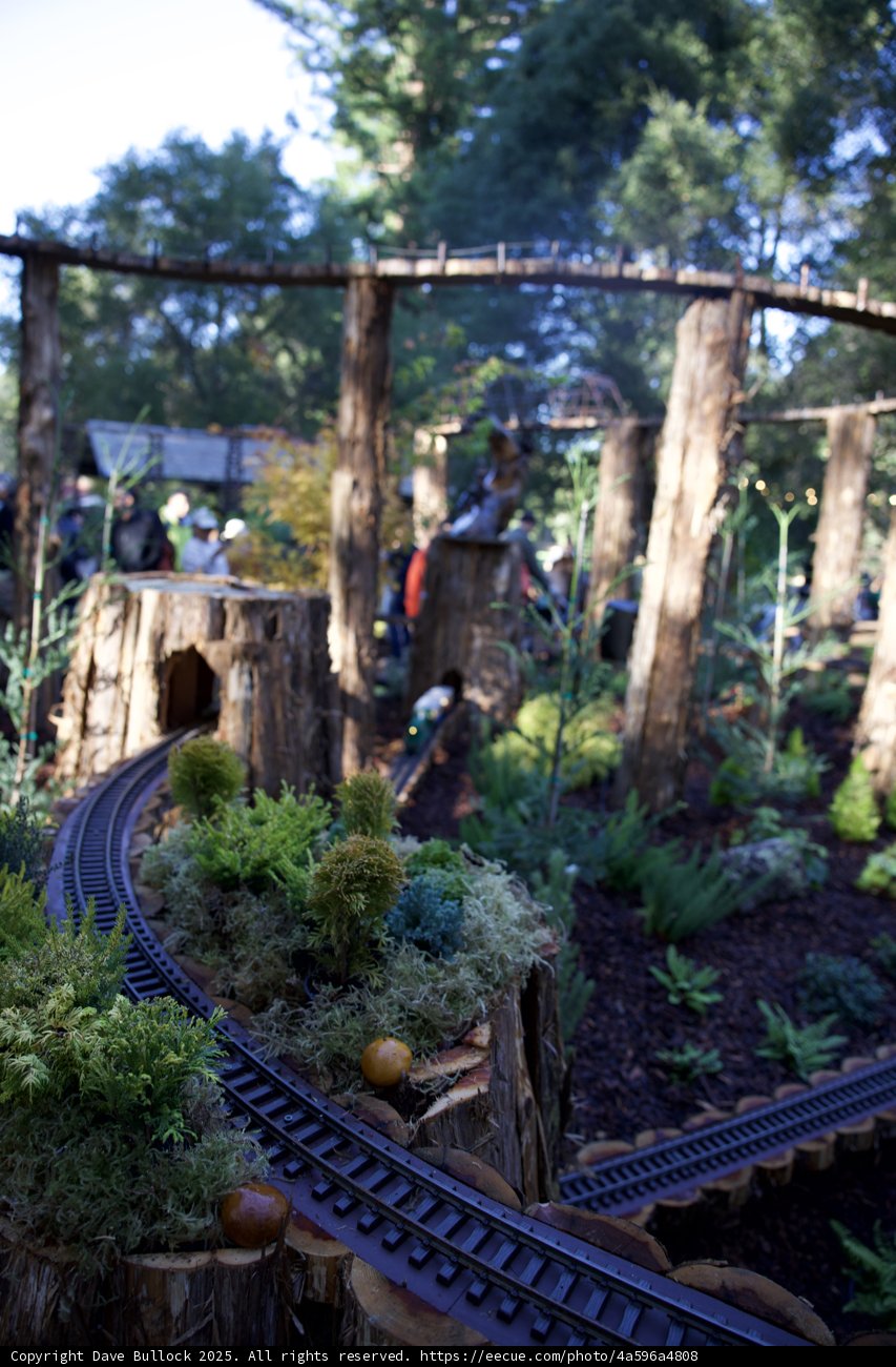 Nature's Railway at Thistlewyck