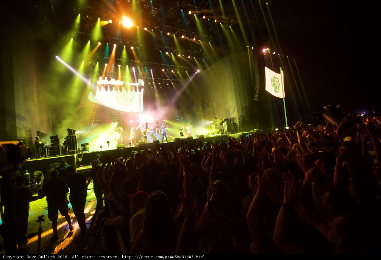 Spotlight on the Rock Concert Crowd