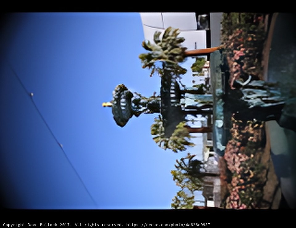 Iconic Cross in the Oasis
