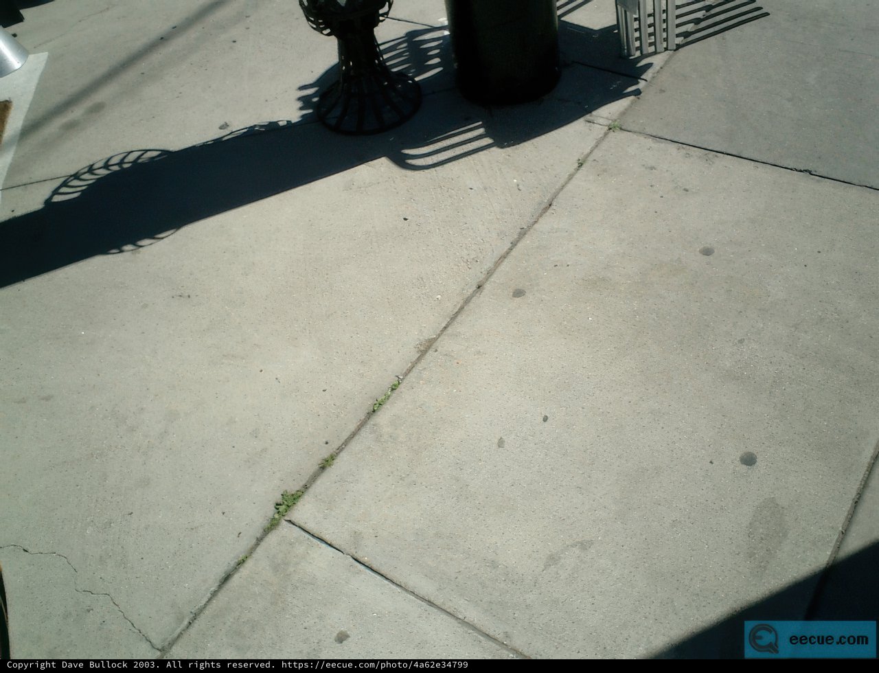 Shadow Play by the Sidewalk