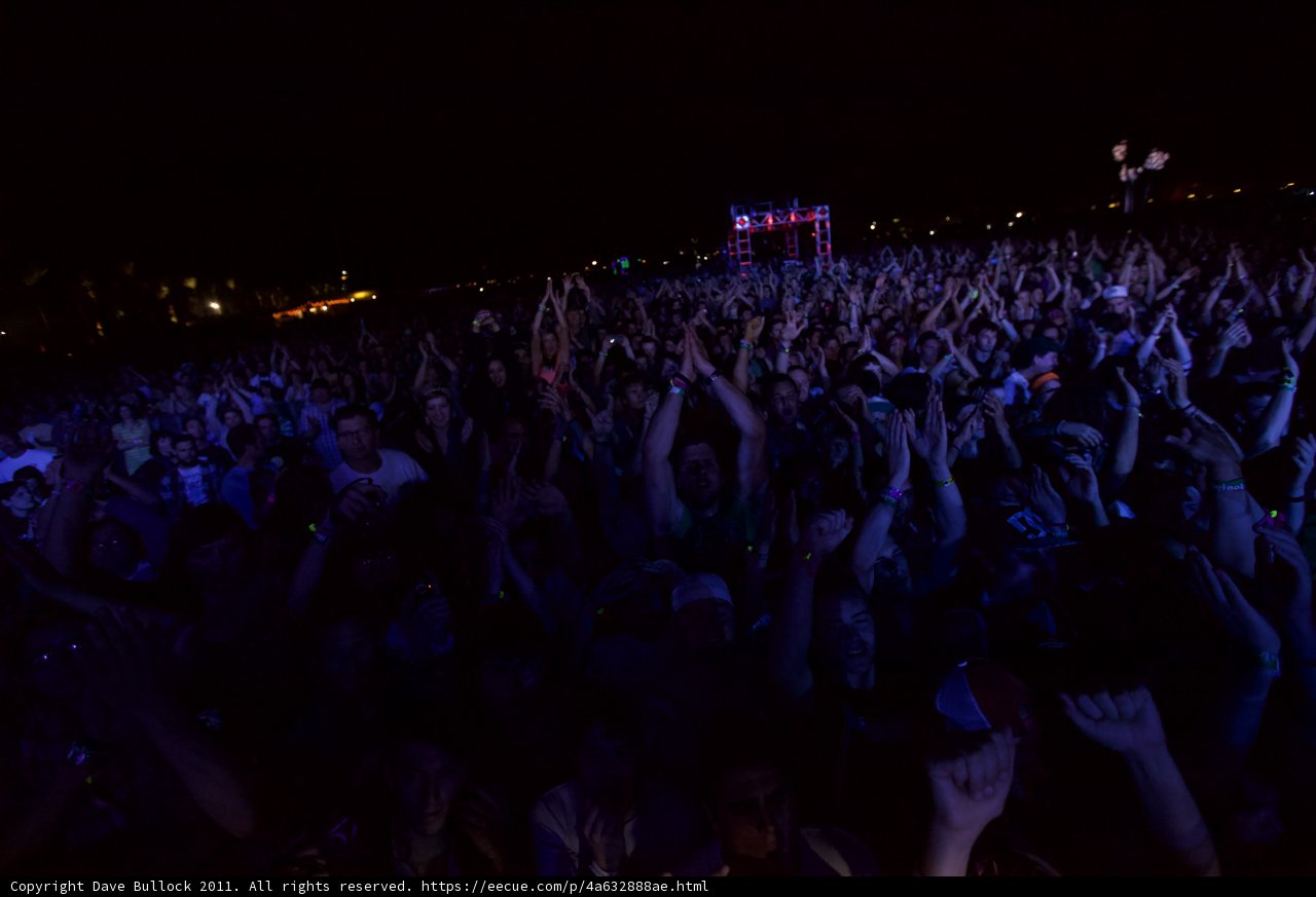 Raving Under the Night Sky