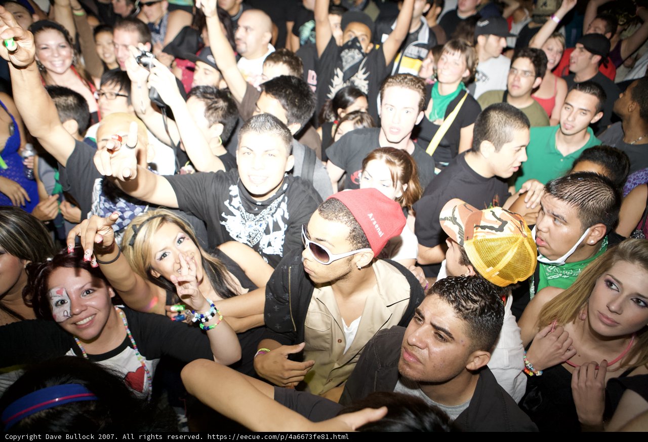 Nocturnal Crowd at a Party