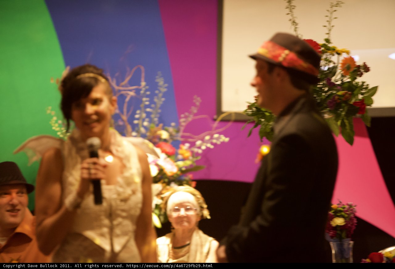 Wedding Speech