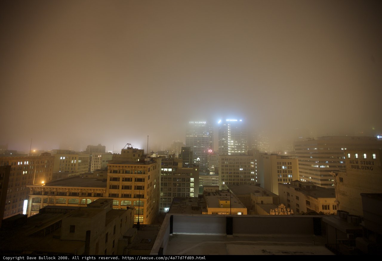 Enveloped in Fog
