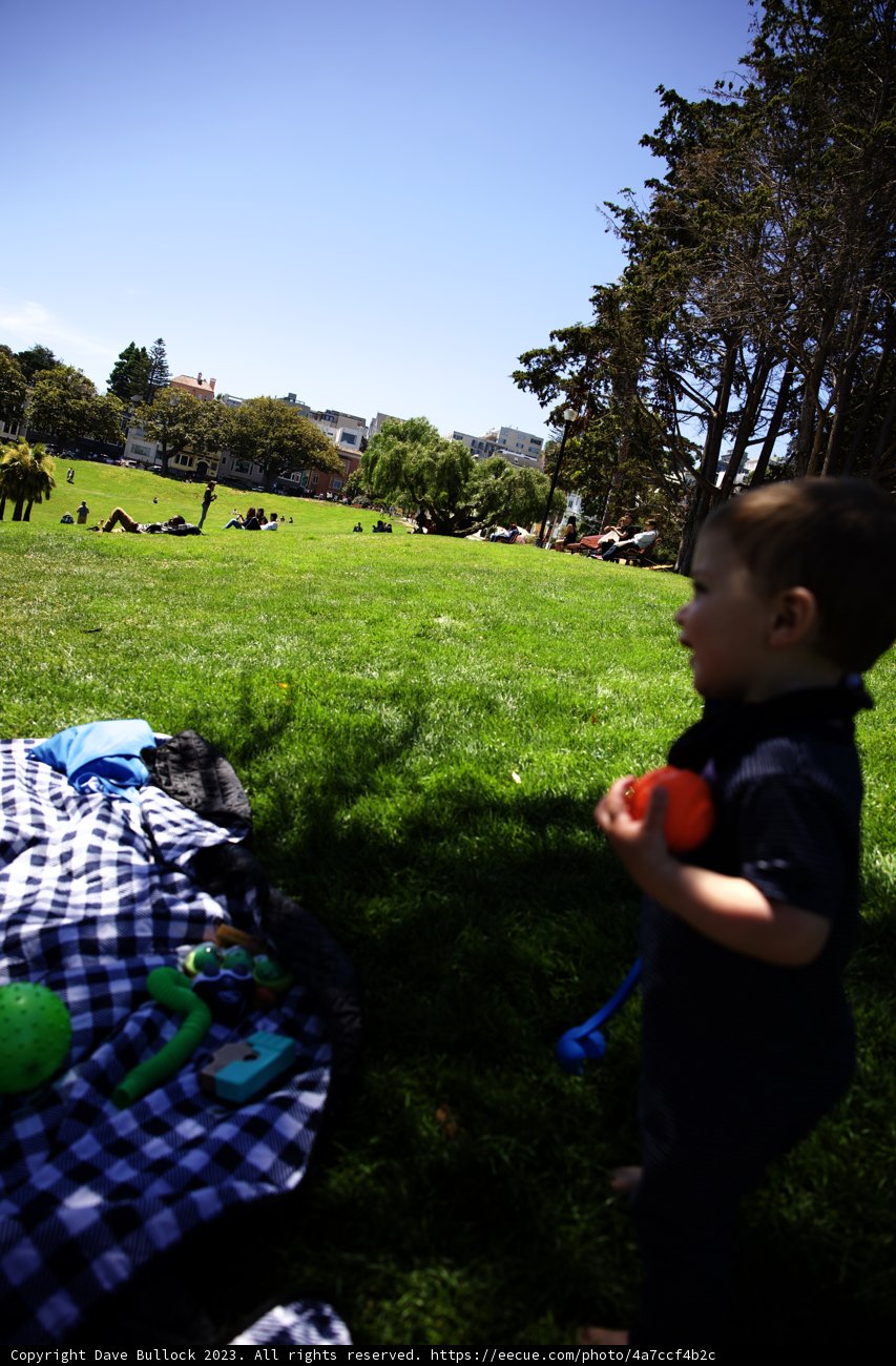 Delores Park Frisbee Fun