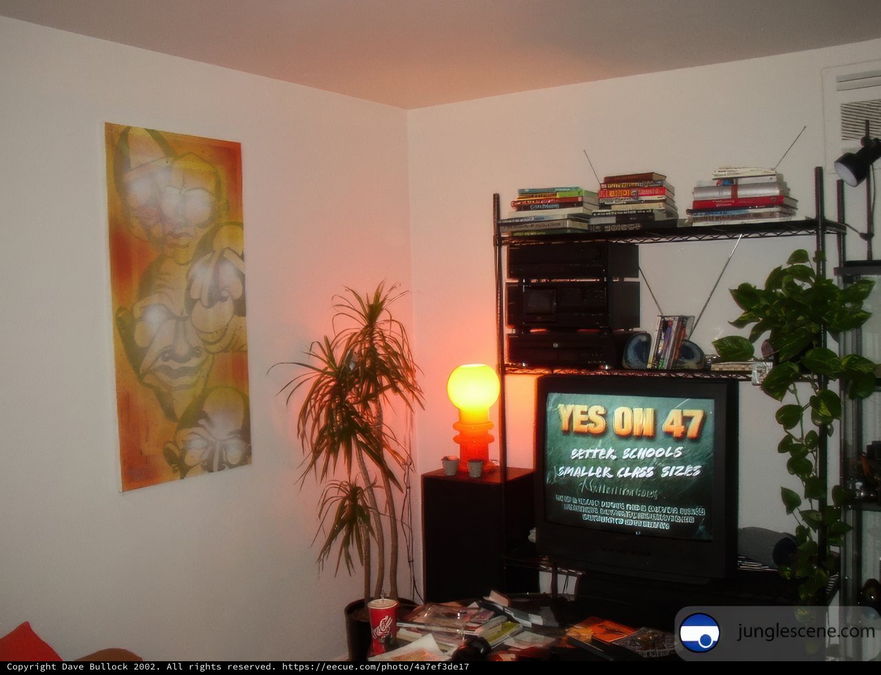 Cozy Living Room Setup
