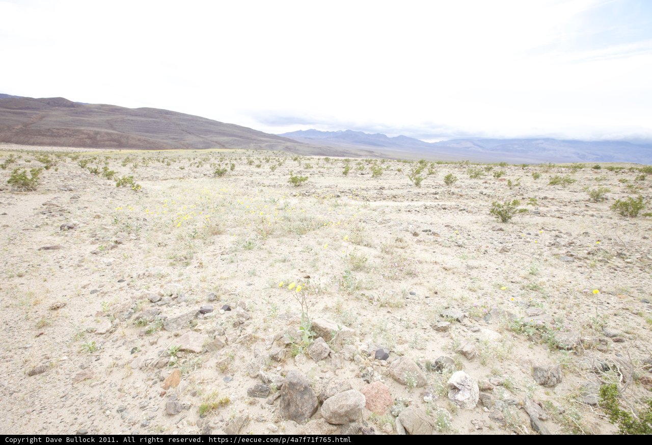 Serene Desert Landscape