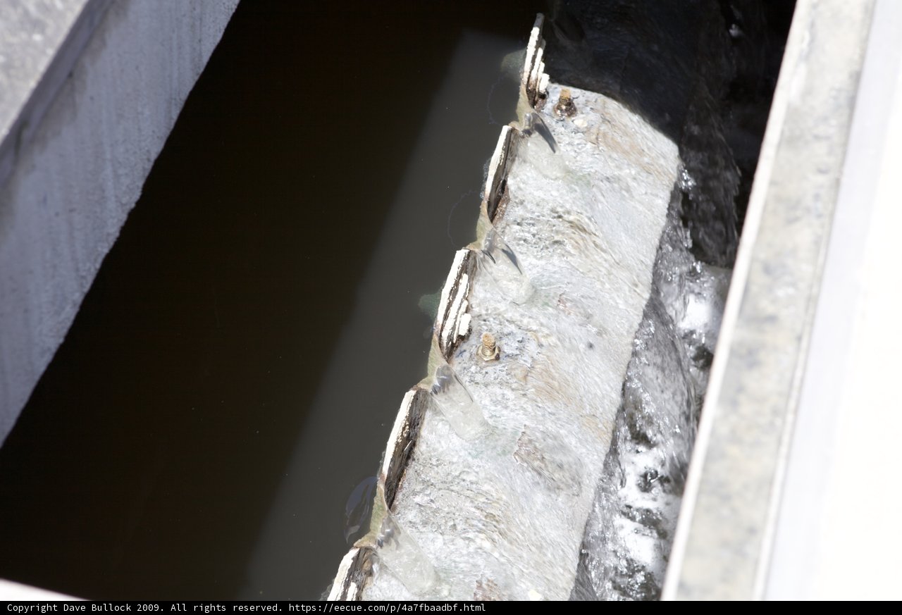 Water in the Drain Pipe