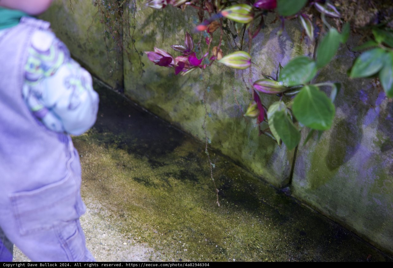 Blooming Whispers: A Boy Amidst Nature