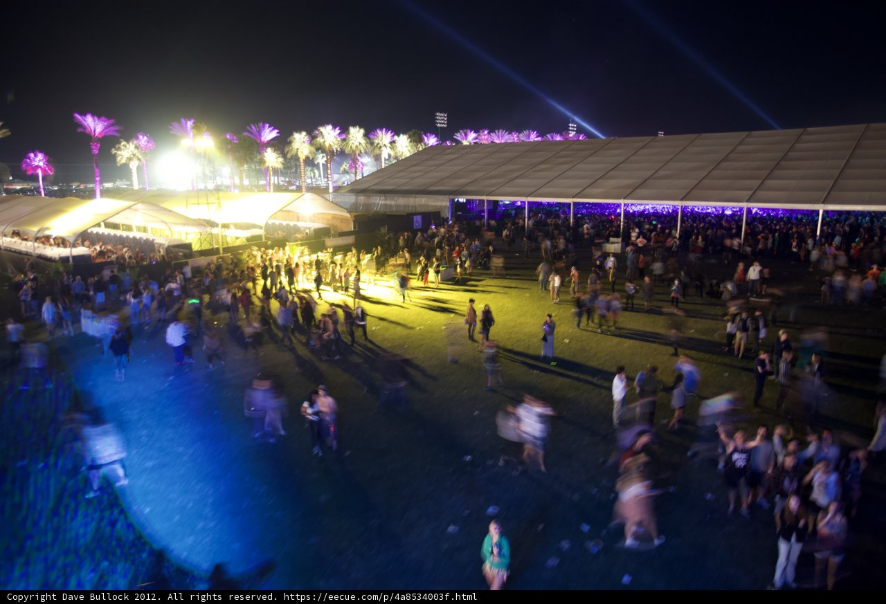 Festival Frenzy