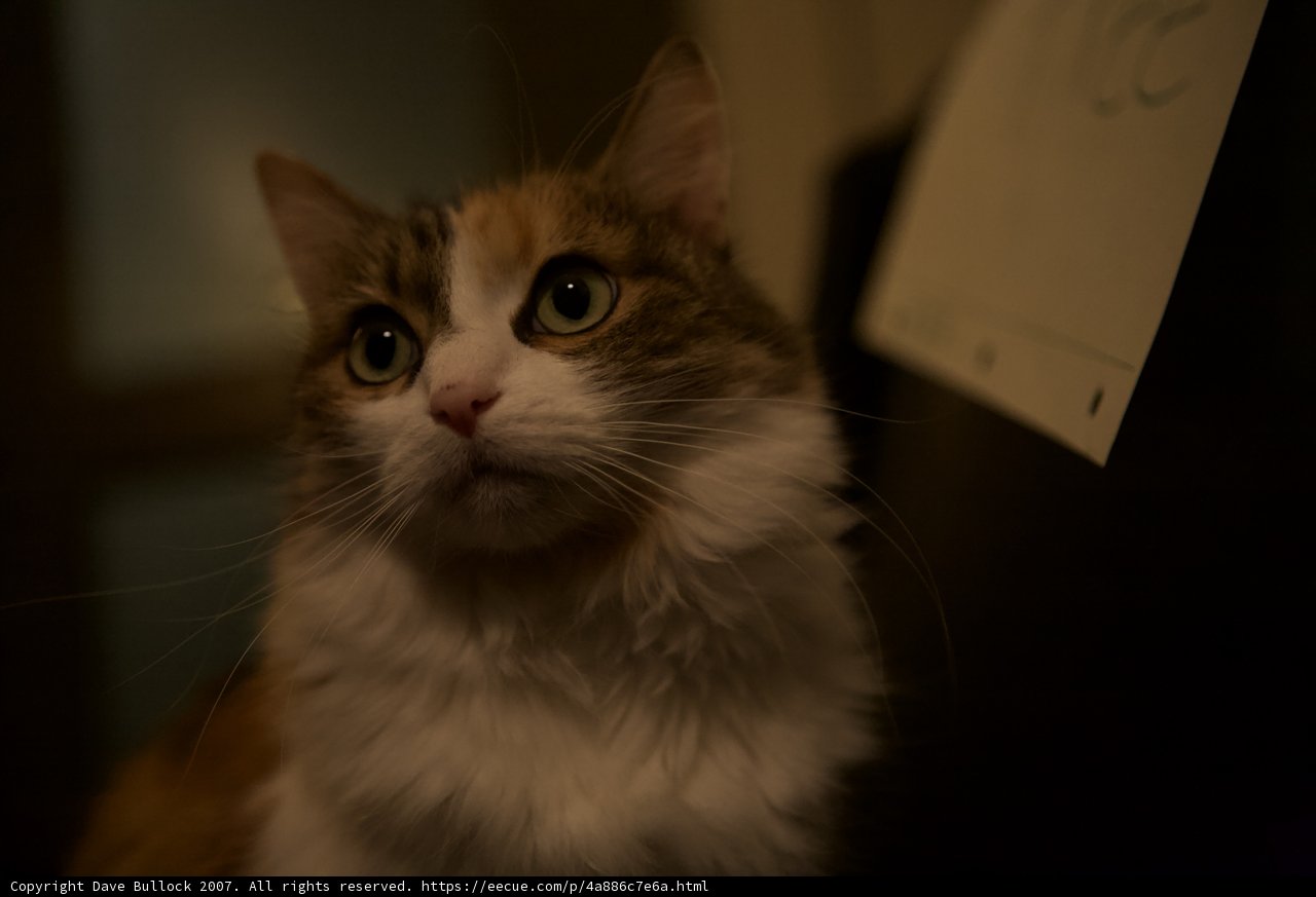 Nighttime Gaze