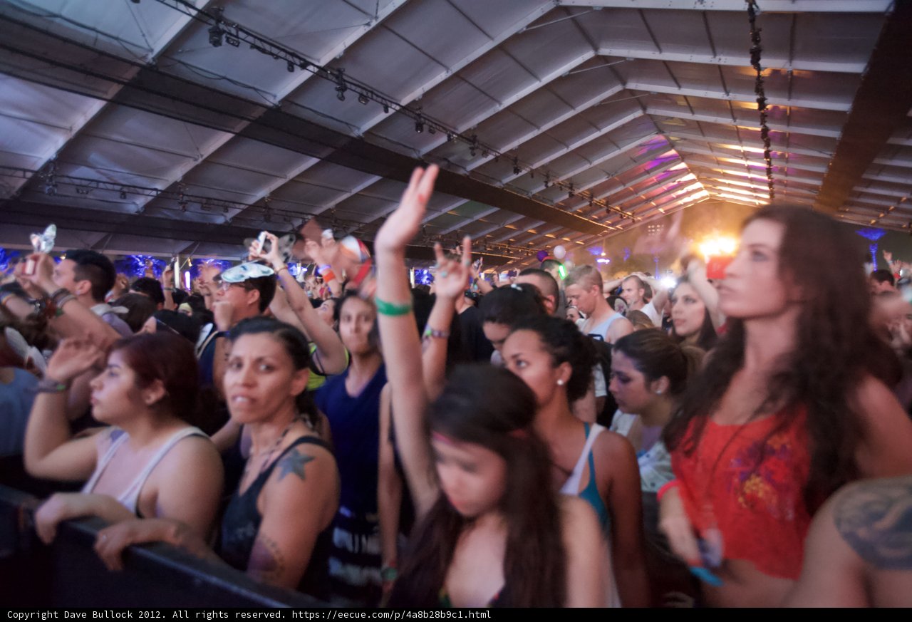 Coachella Crowd Goes Wild