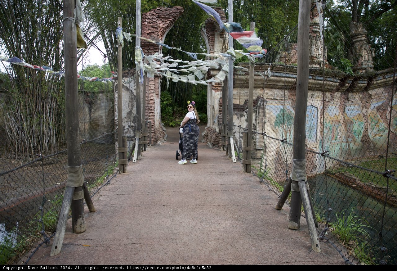 Adventure at Disneyworld Animal Kingdom