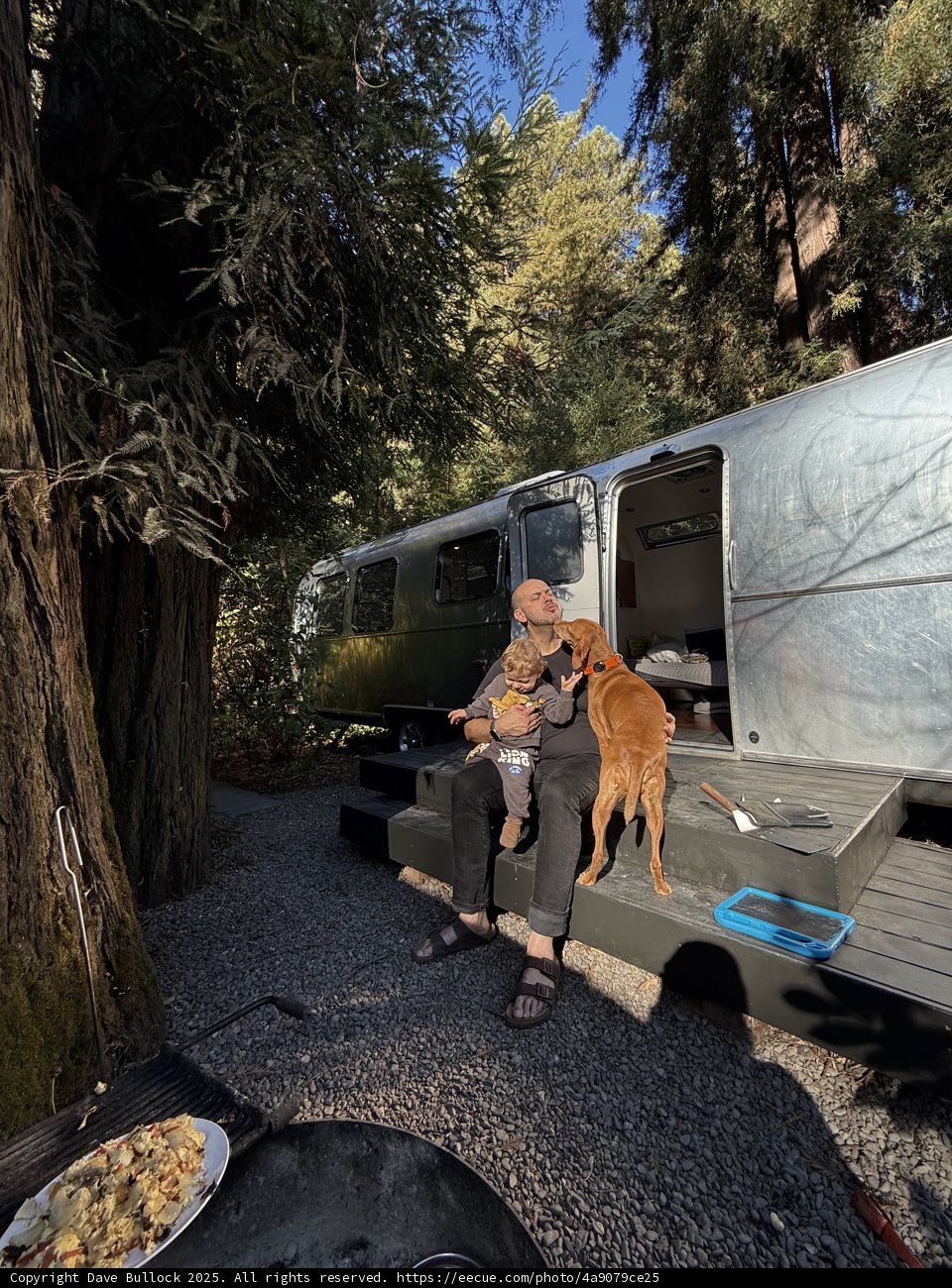 Morning Bliss in the Redwoods