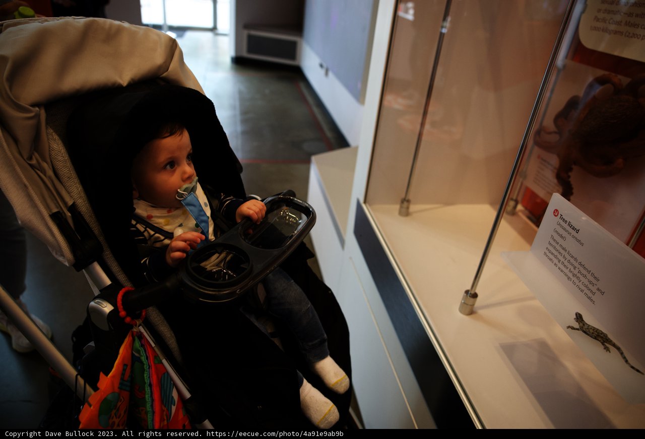 Baby Wesley's Fascination