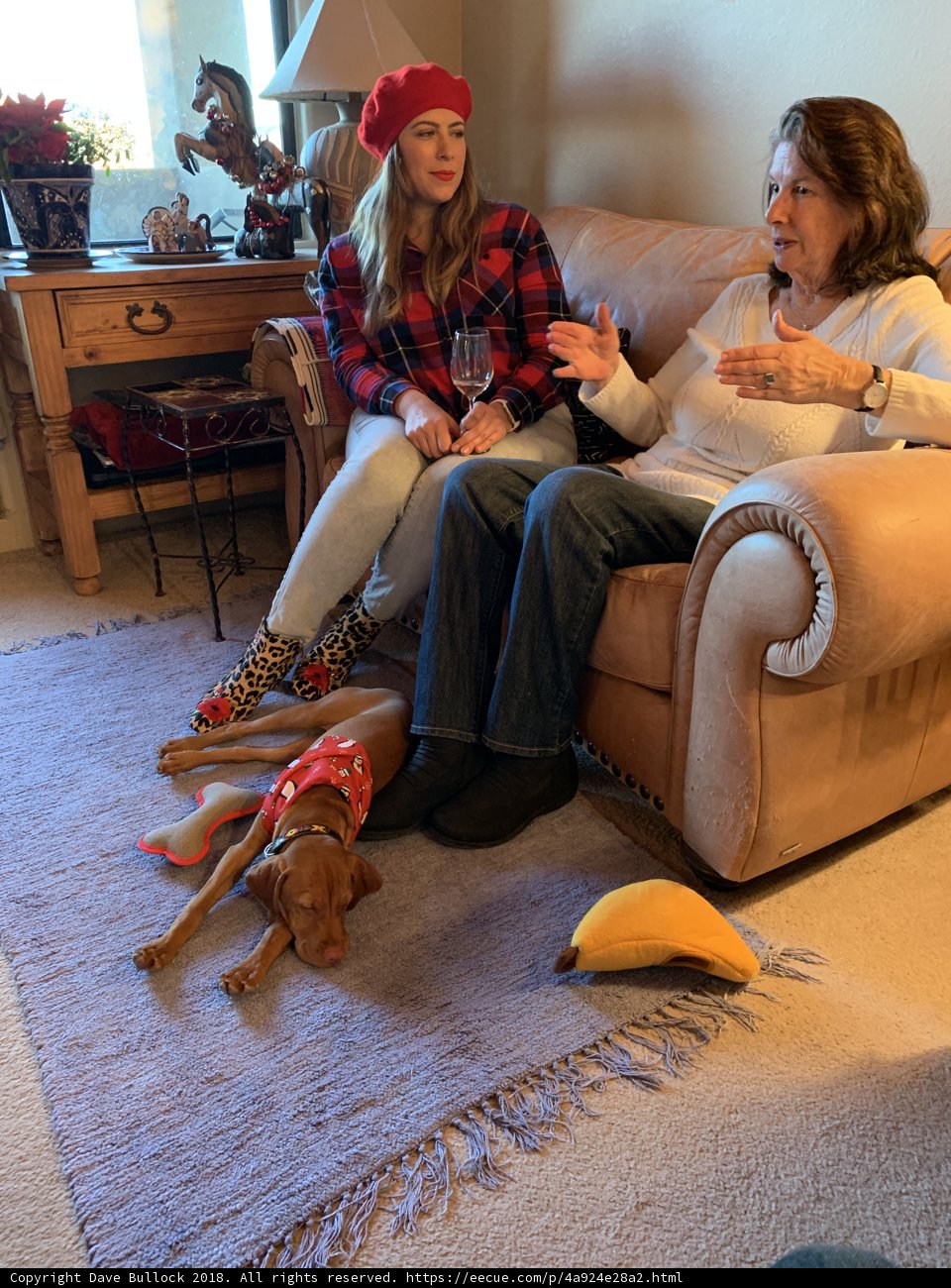Cozy Christmas with Friends