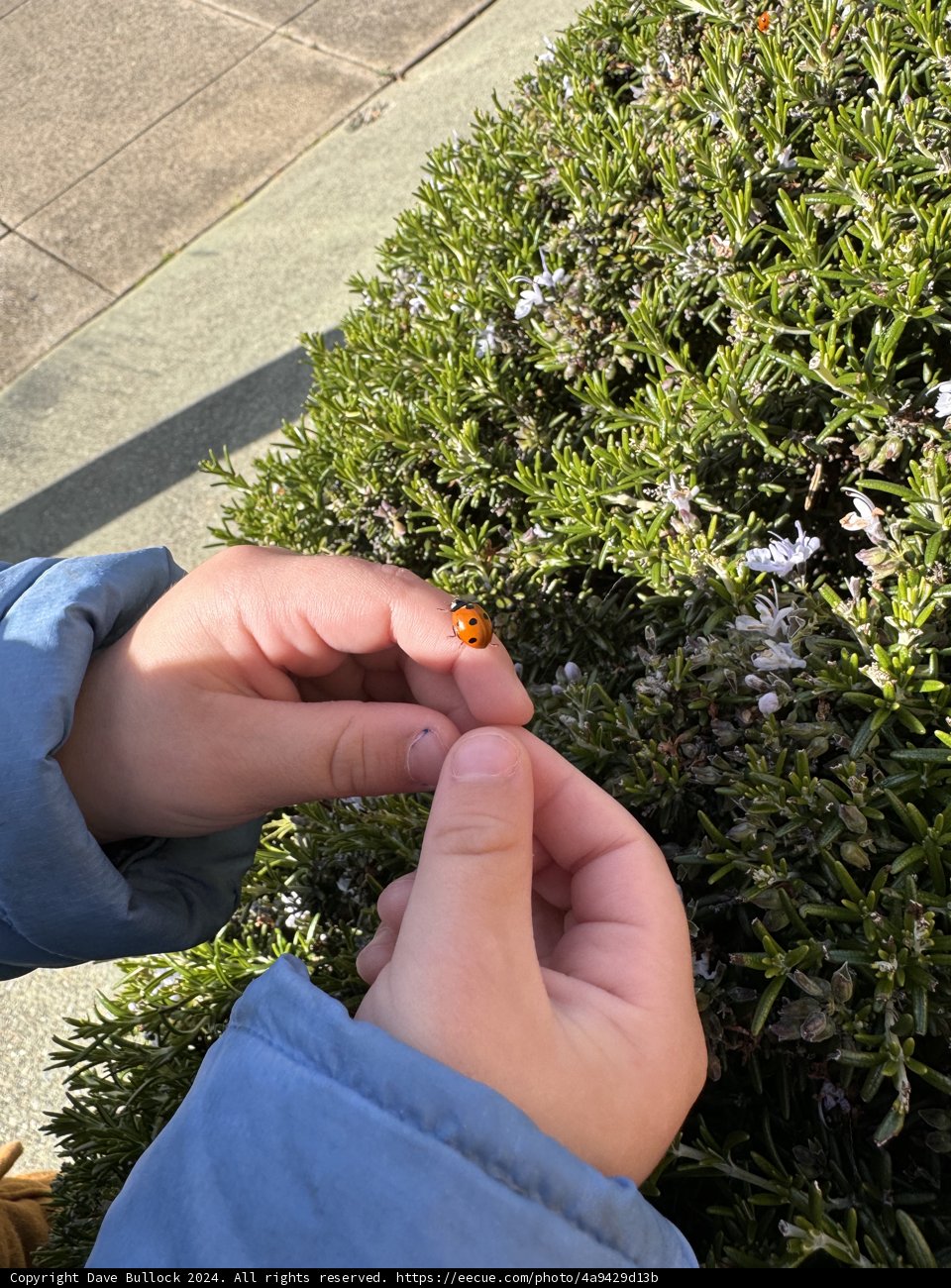 Nature's Tiny Miracle