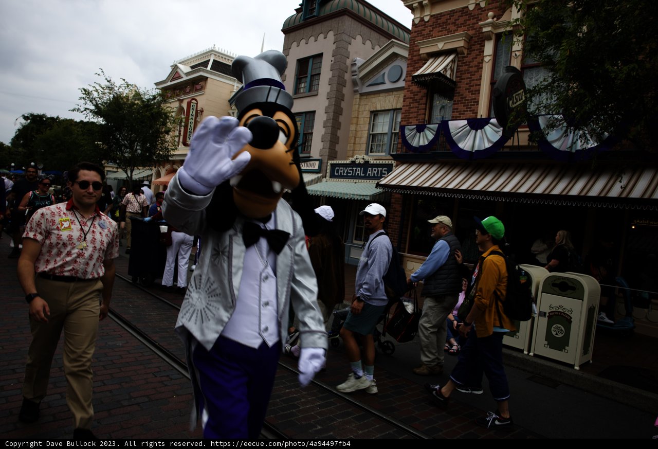 Magical Encounter on Main Street