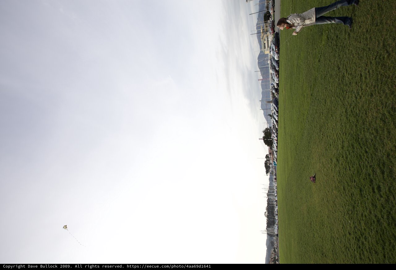 Kite Flying at the Marina Green San Francisco