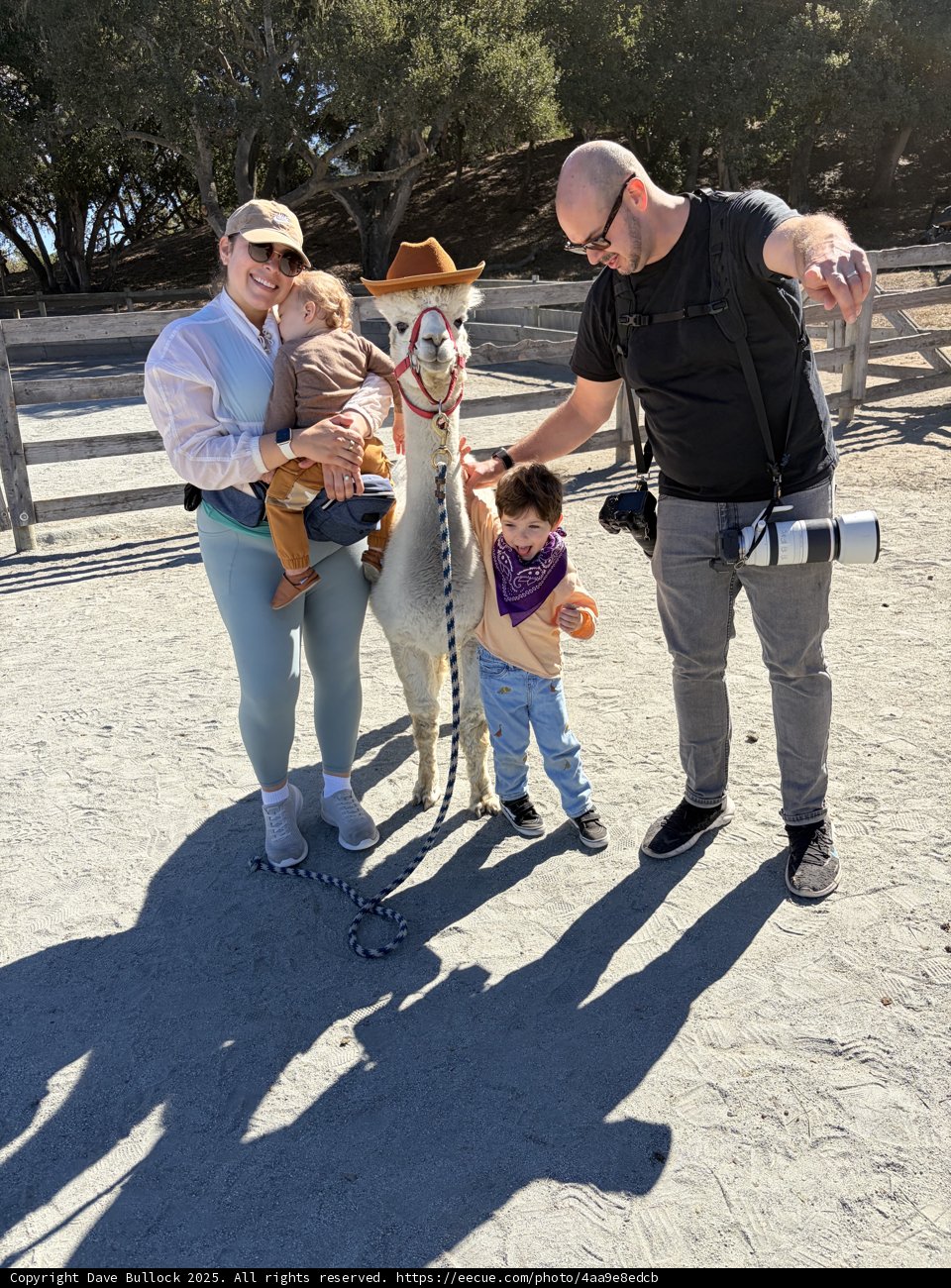 Adventures at the Zoo