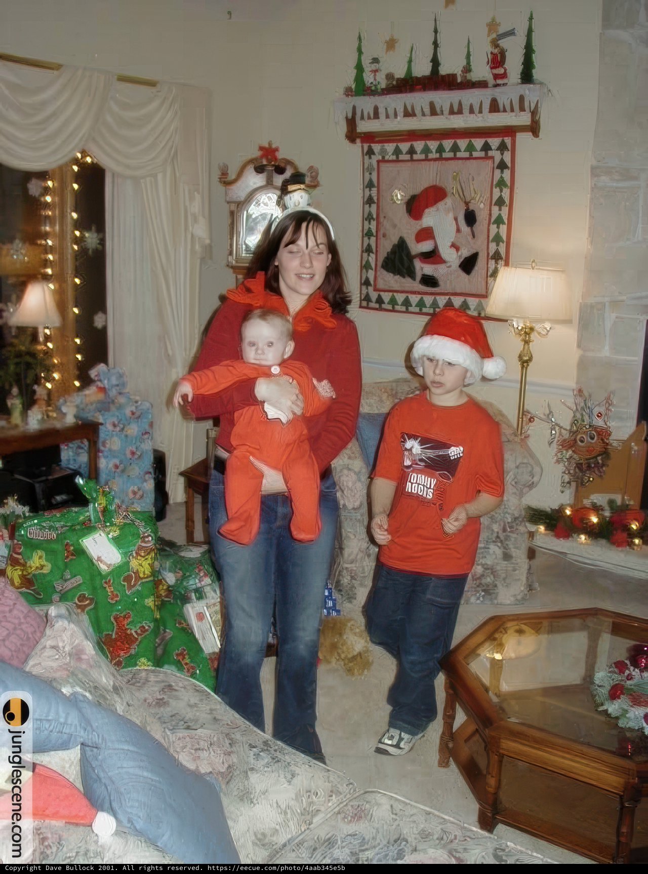 Christmas Cheer in the Living Room