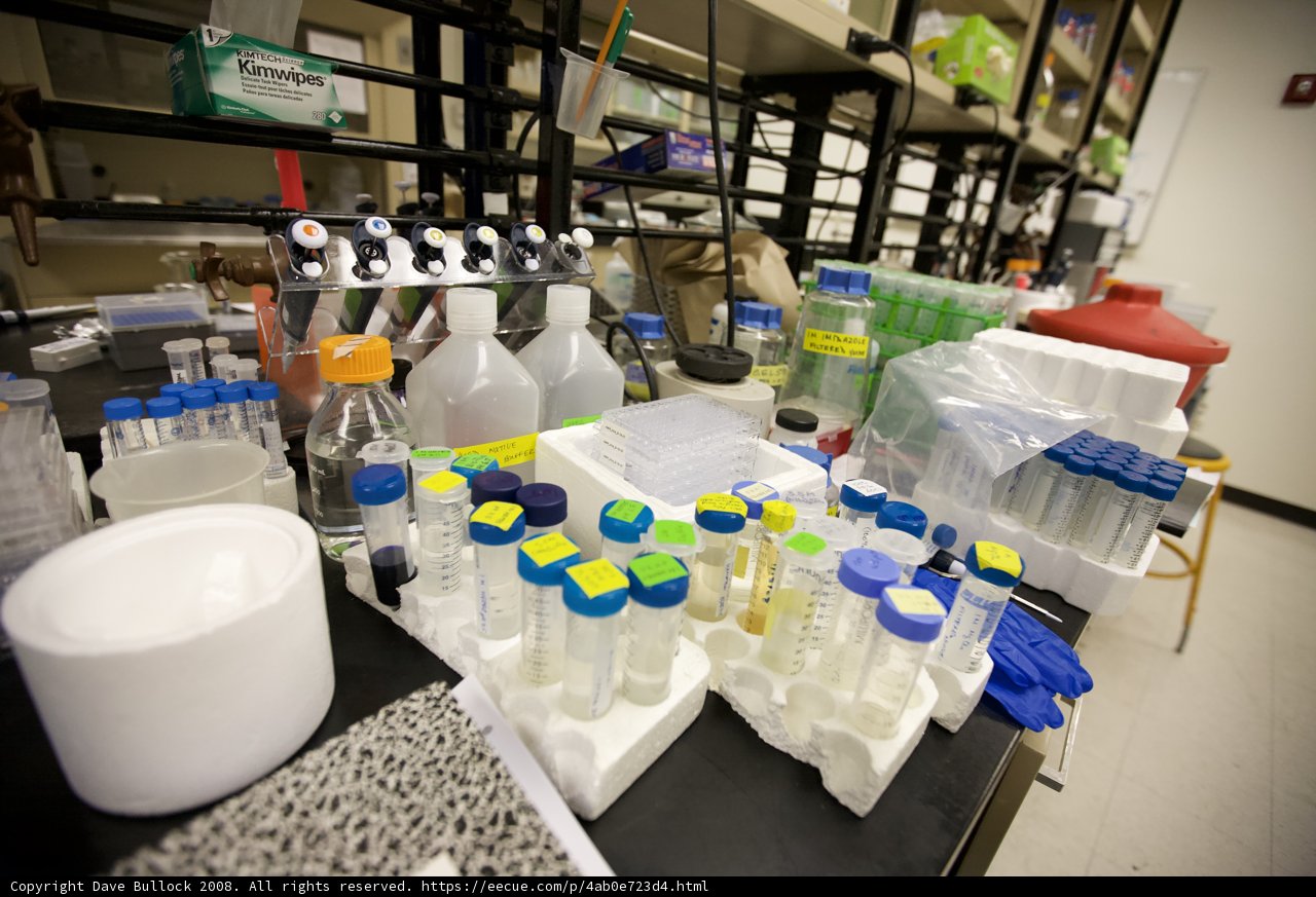 Variety of Liquids and Containers in UCLA Biotech Lab