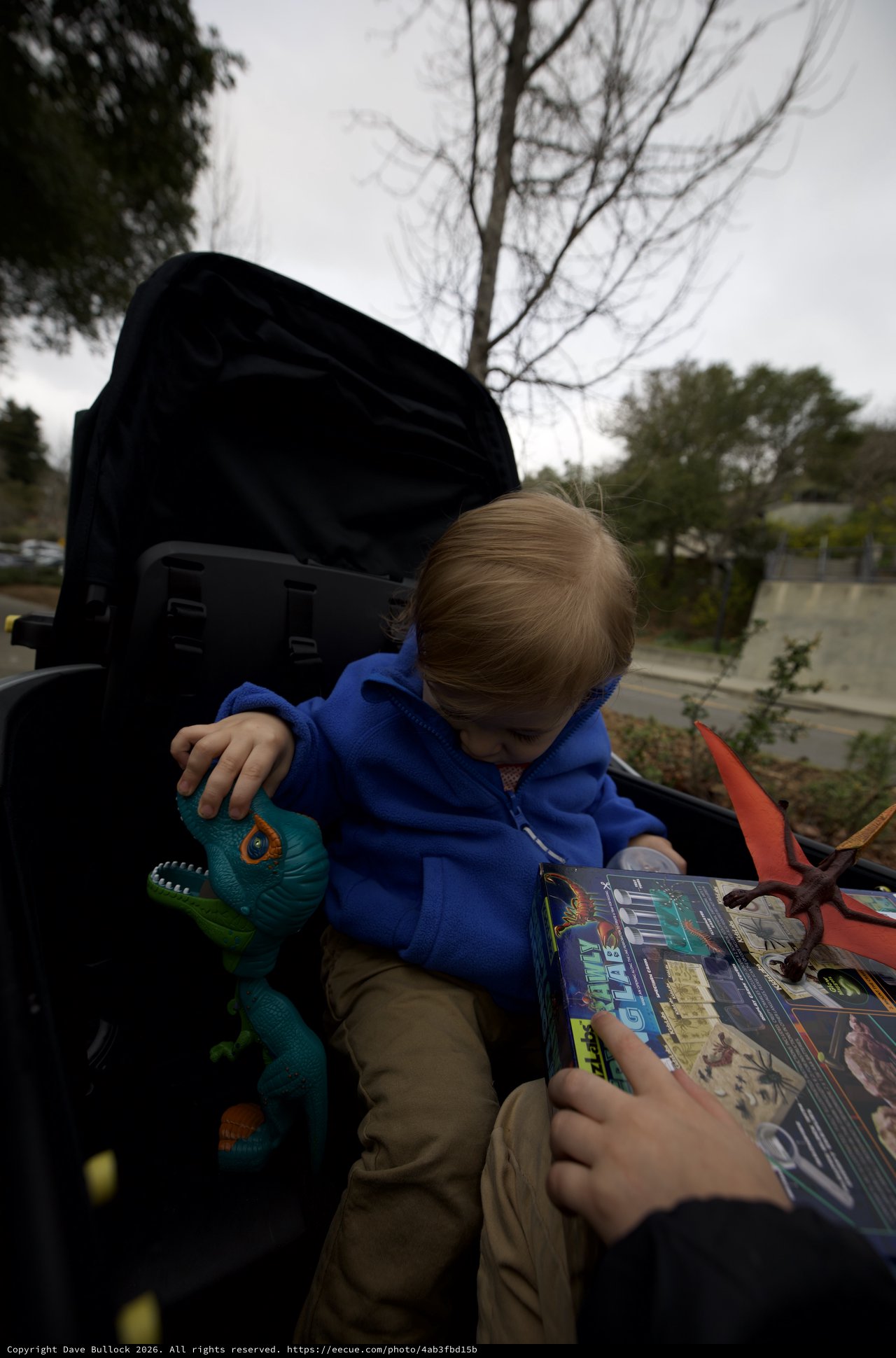 Young Child Reading Dinosaur Book in Stroller Outdoors