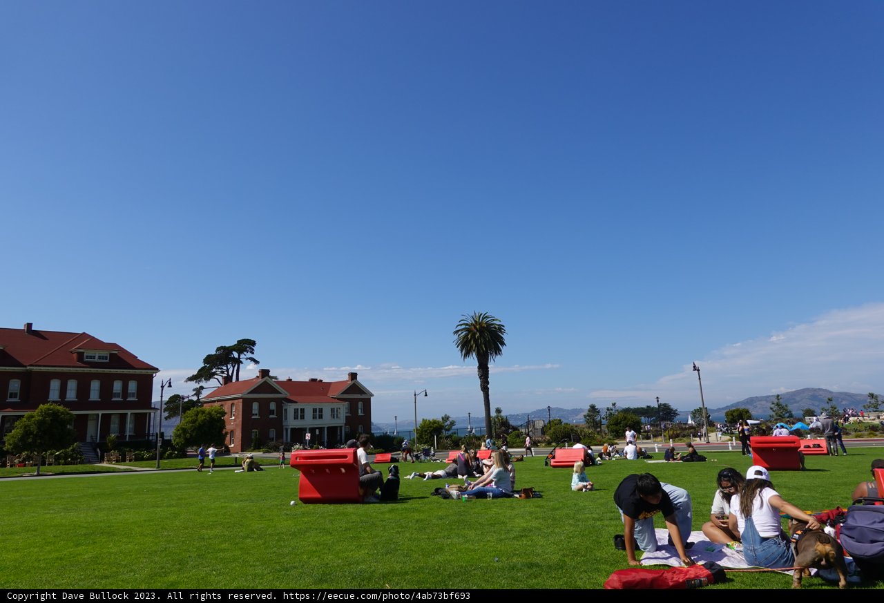 Summer Gathering at the Park