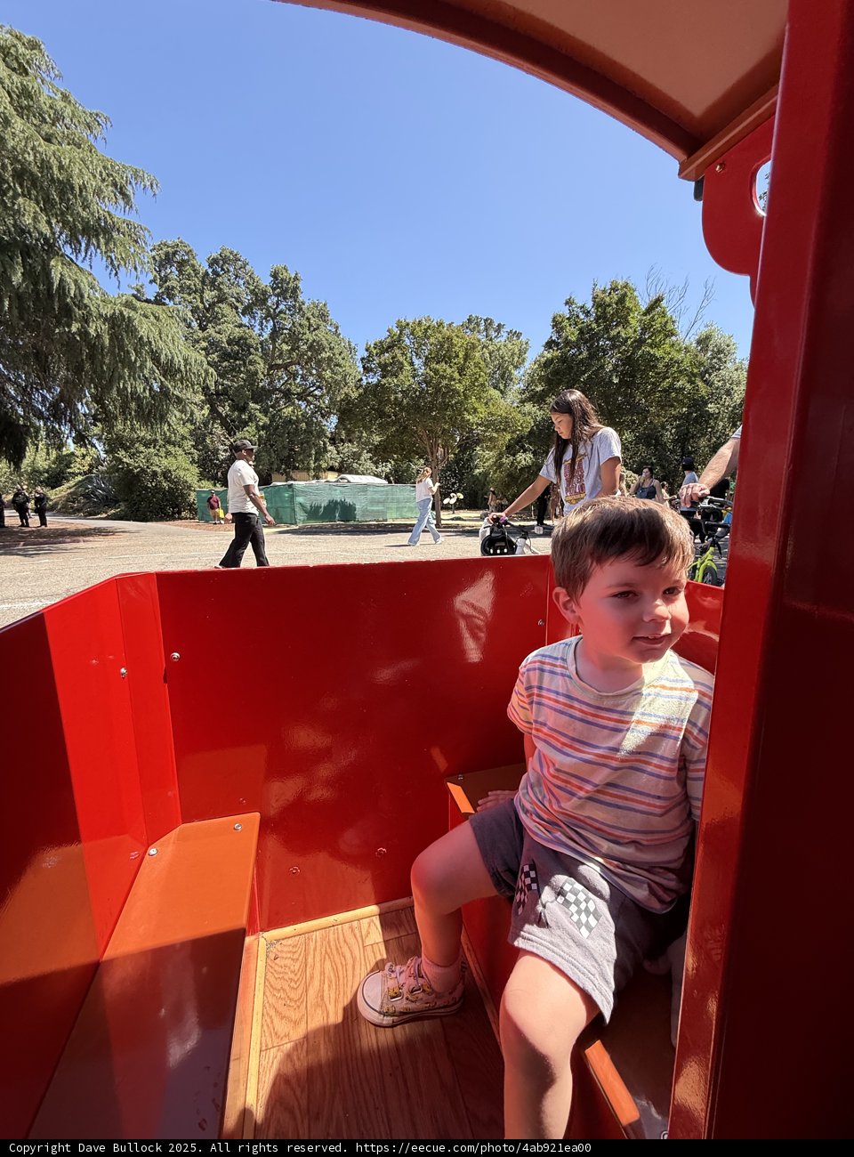 Summer Adventures in Walnut Creek