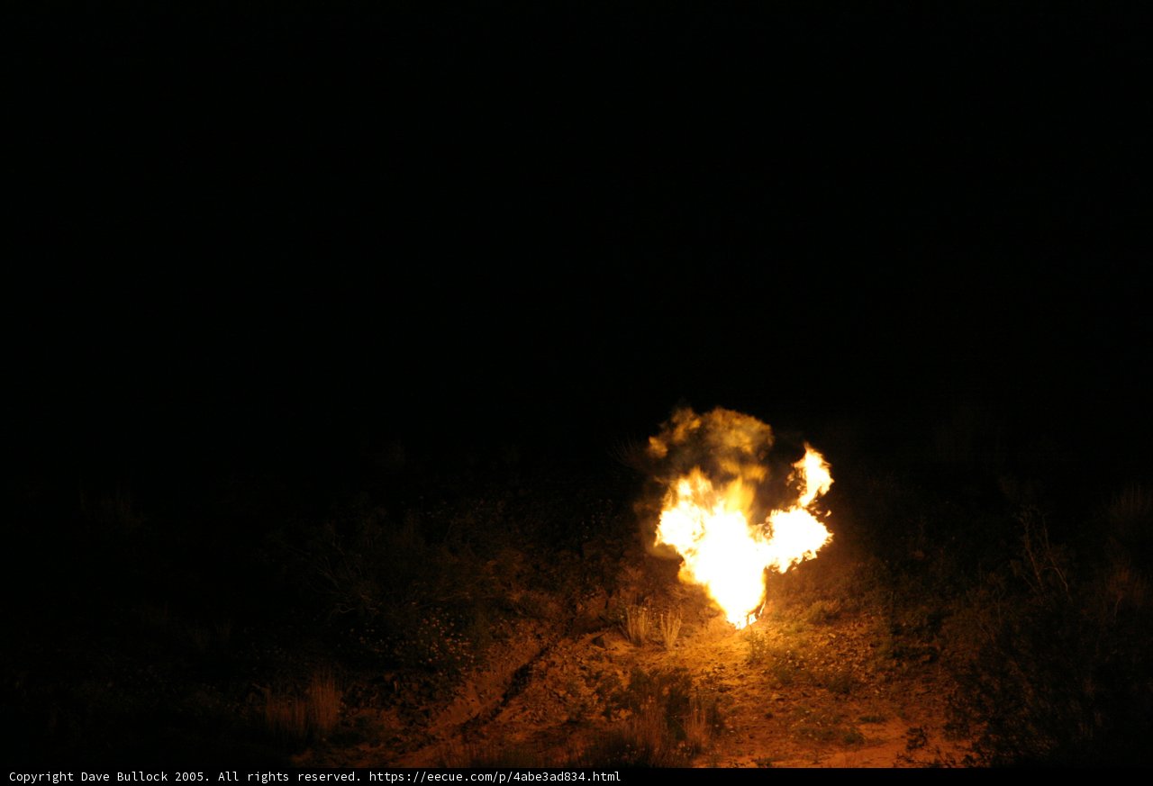 Burning Bright in the Night Sky