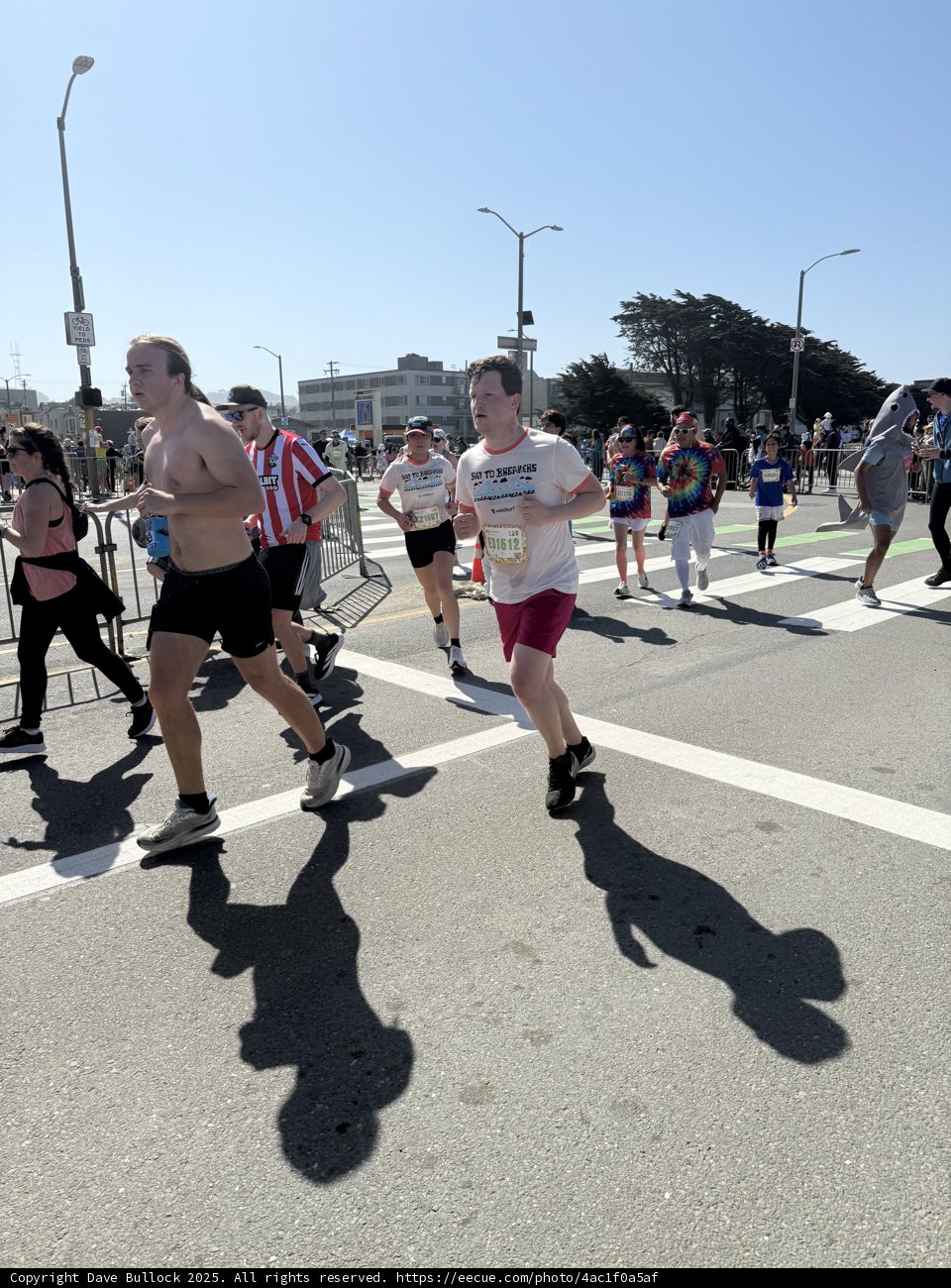 Stride in the Bay: San Francisco Marathon Moments