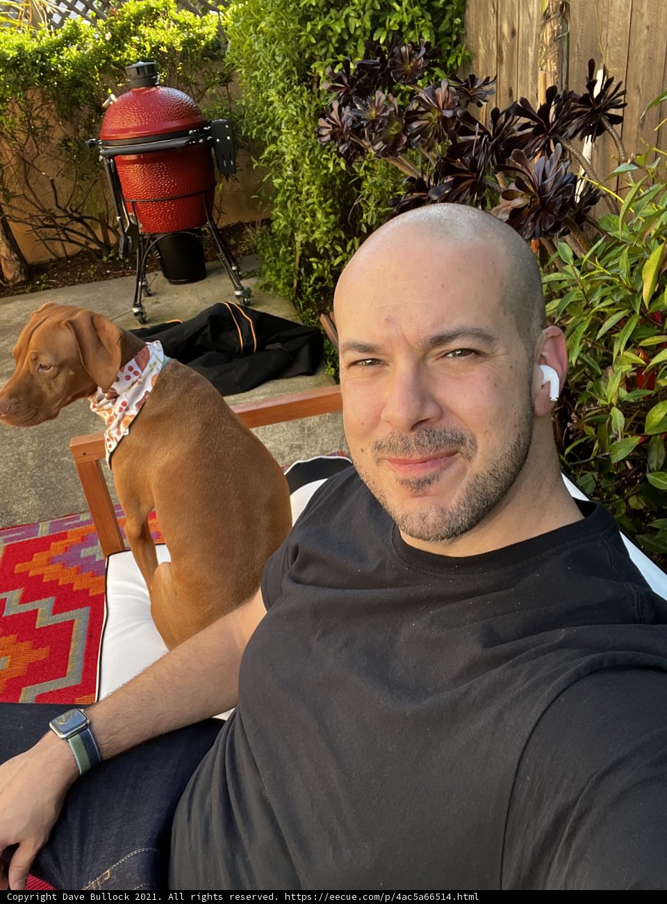 Man's Best Friend in the Garden