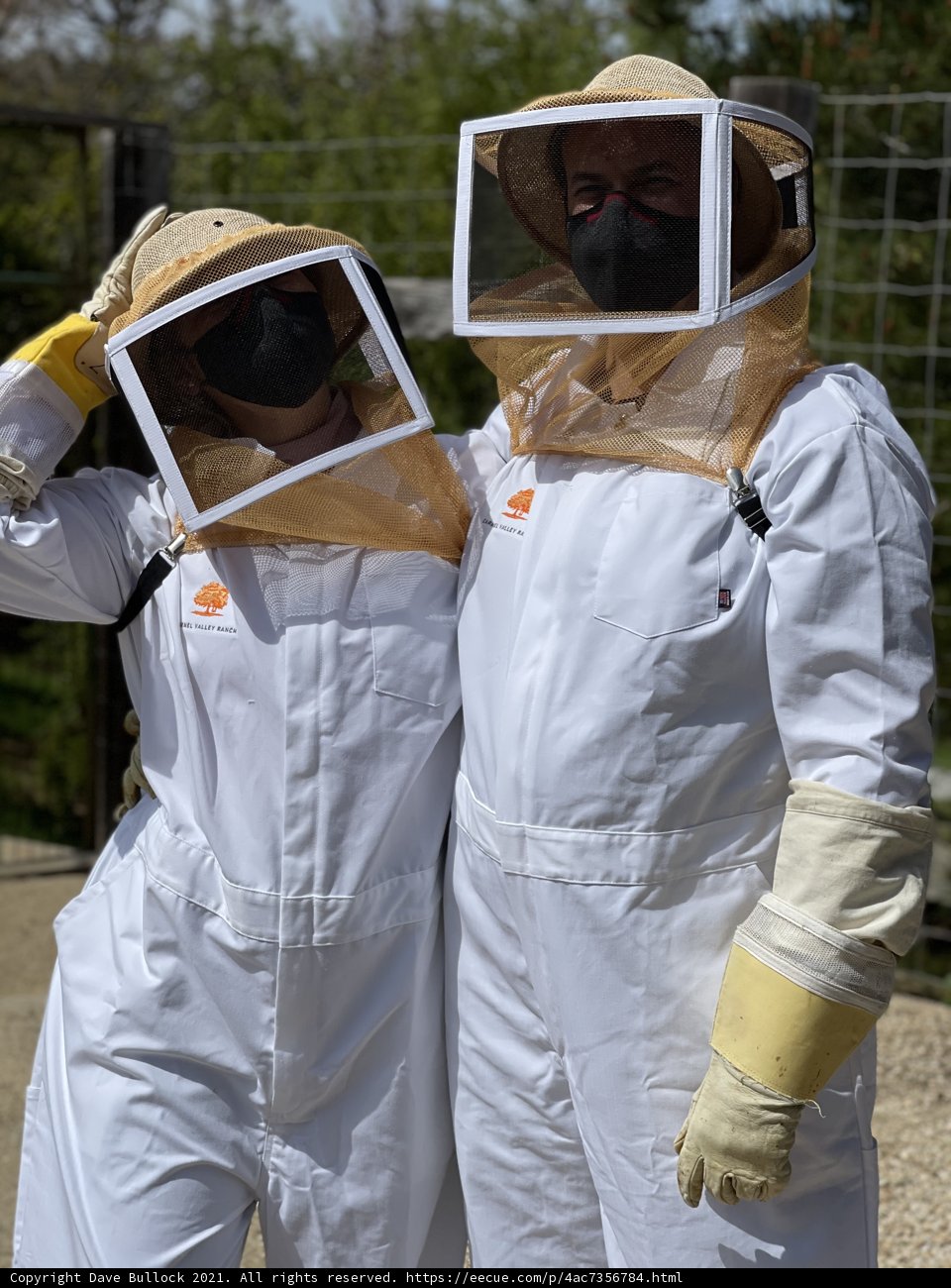 Beekeeping Buddies
