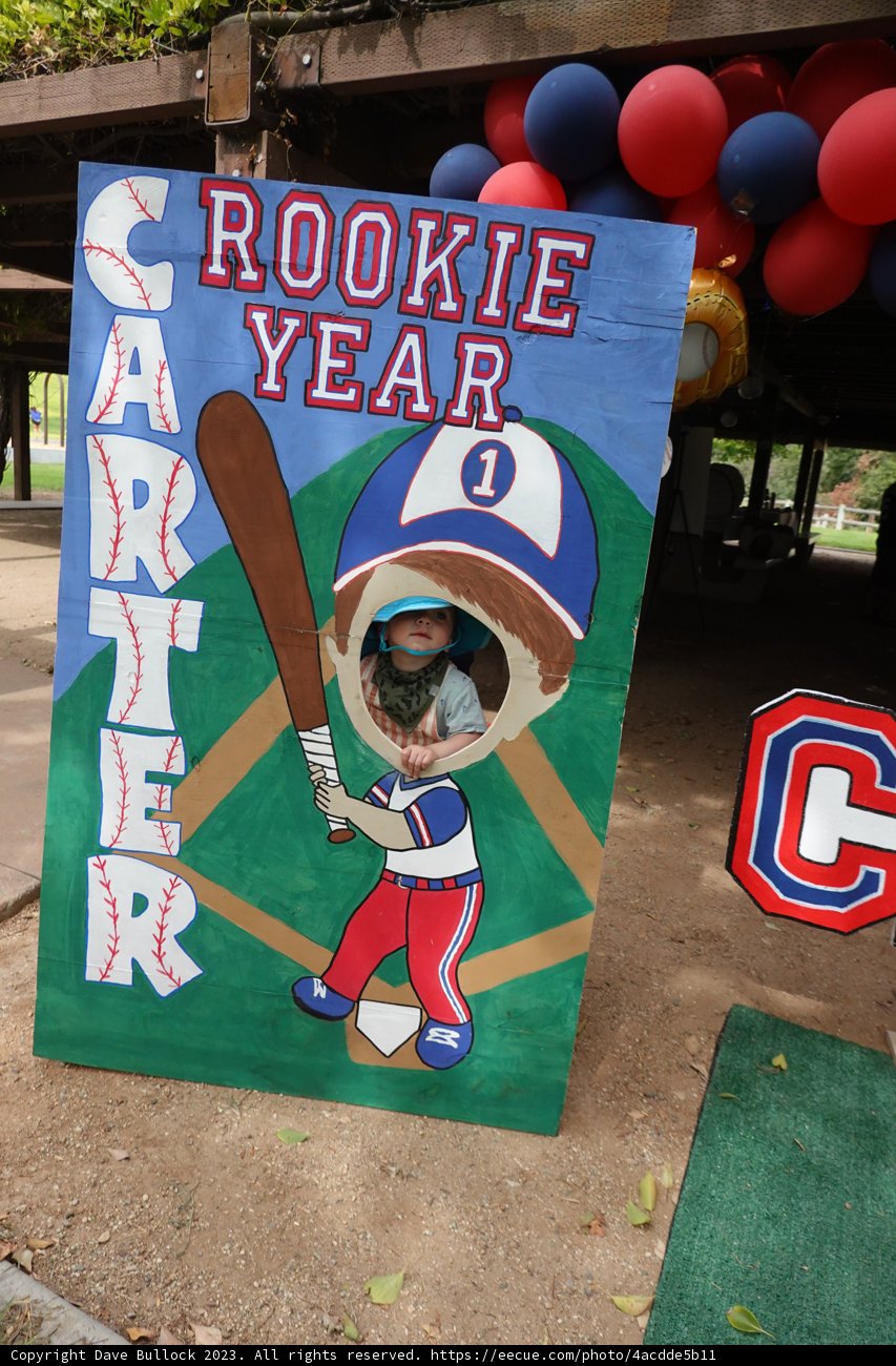 Swinging Into Another Year: A Special Baseball Birthday Celebration