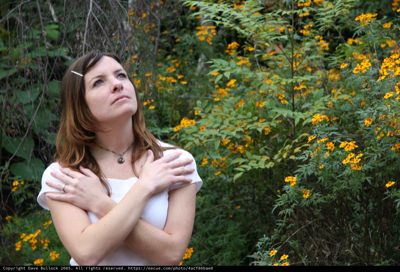 Woman Gazing Upward Among Golden Wildflowers