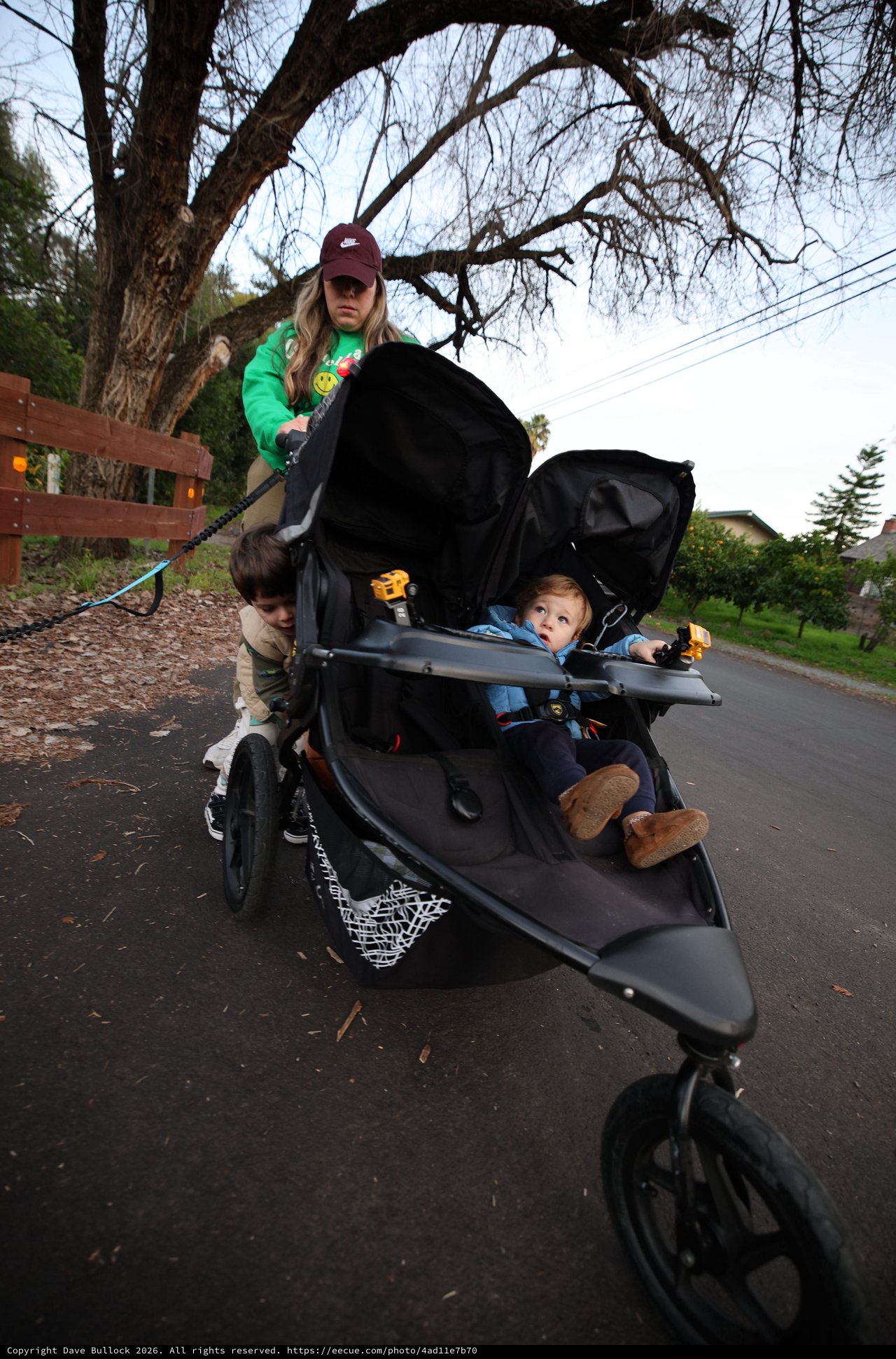 Mother with Two Children in Double Stroller on Suburban Walk