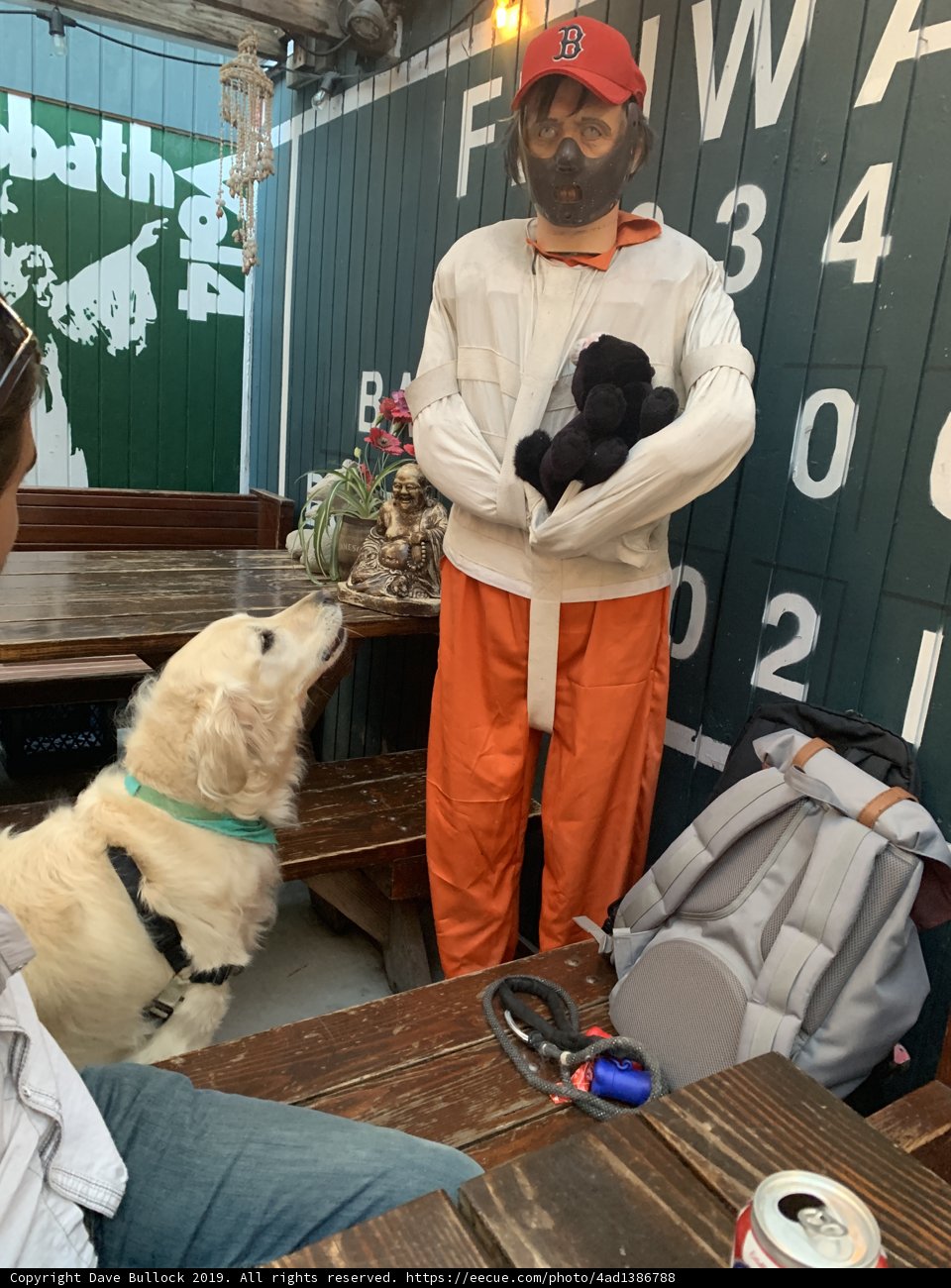 Man in Orange Pants Poses Amongst Wood