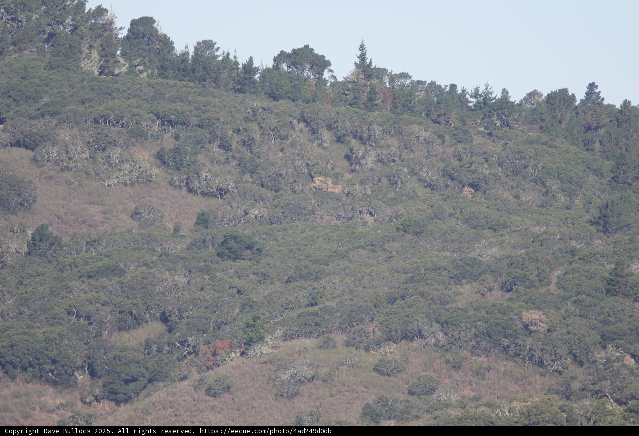 Verdant Hills of Carmel Valley Ranch