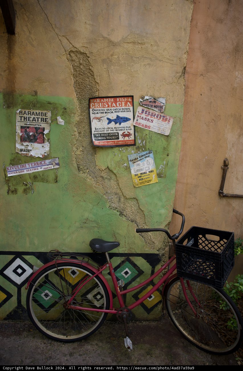 Urban Jungle: A Ride Through the Animal Kingdom