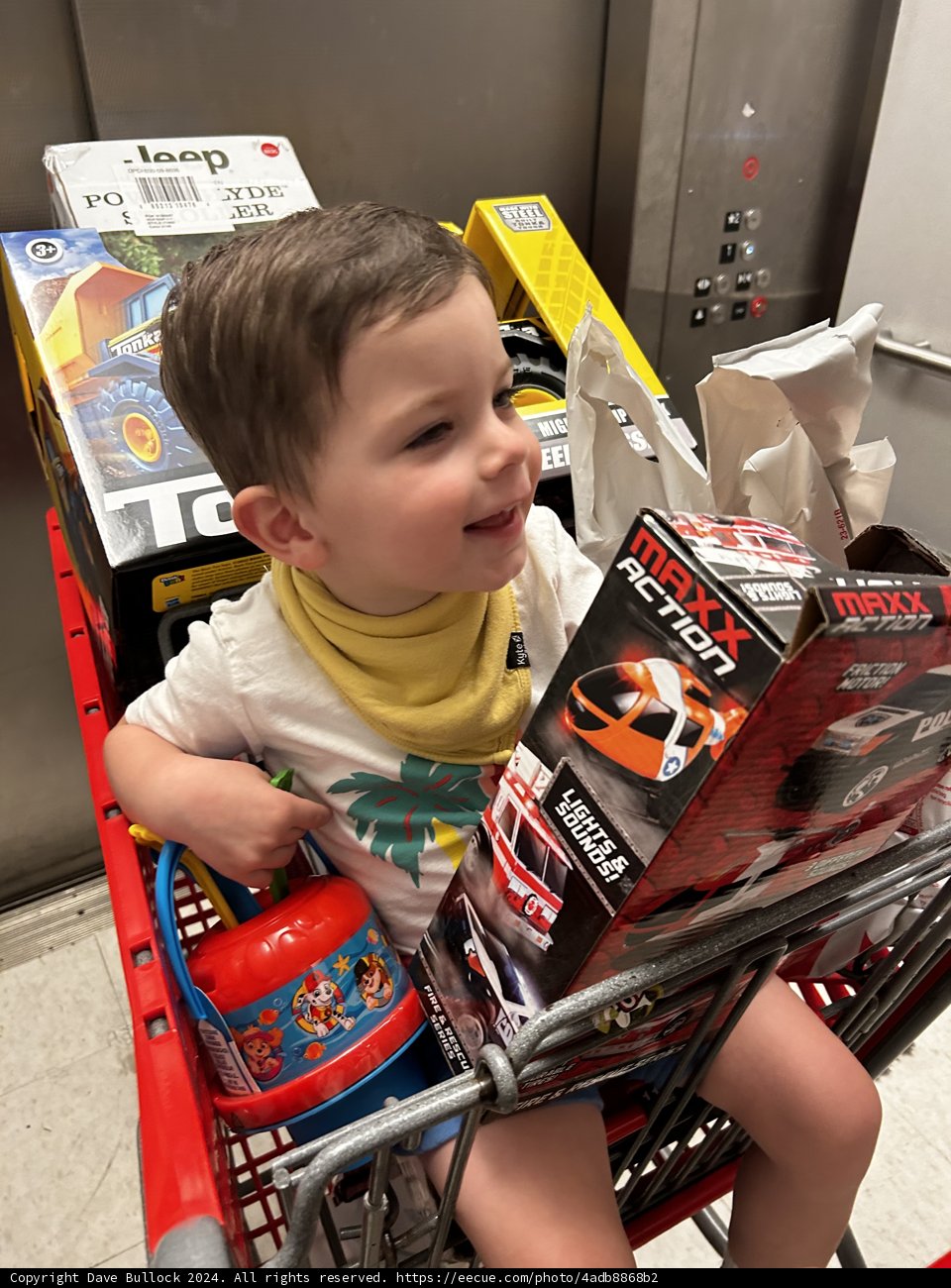 **Shopping Cart Adventures**
