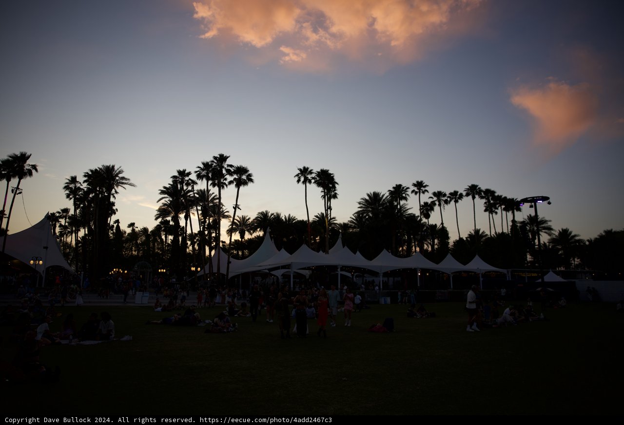 Sunset Silhouettes at Coachella 2024